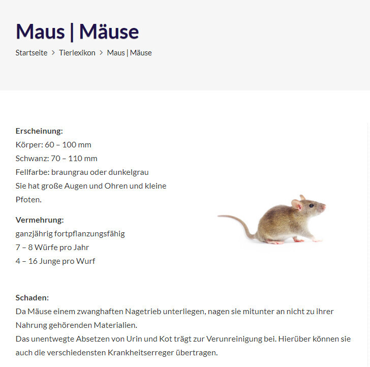 Bilder Kleefeld Hamburg Schädlingsbekämpfung