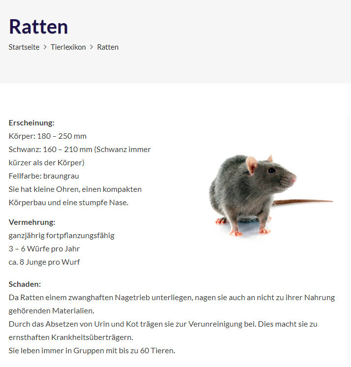 Bilder Kleefeld Hamburg Schädlingsbekämpfung