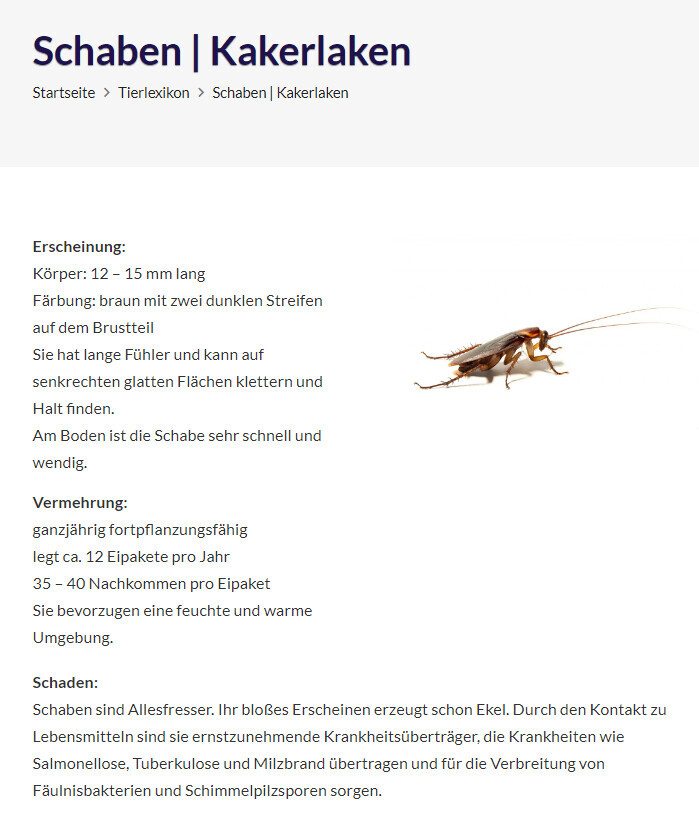 Bilder Kleefeld Hamburg Schädlingsbekämpfung