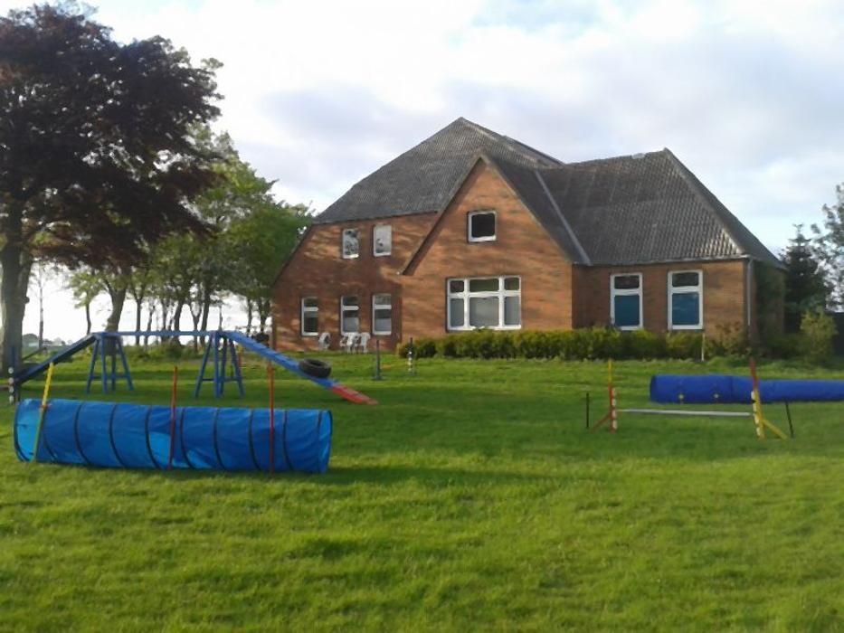 Bilder Dog Ways Hundecenter