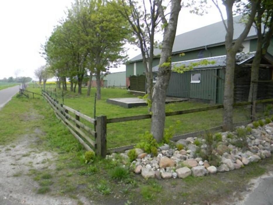 Bilder Dog Ways Hundecenter