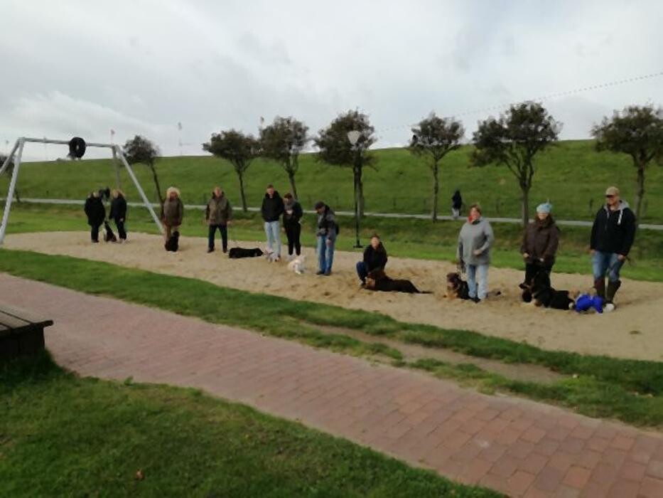 Bilder Dog Ways Hundecenter