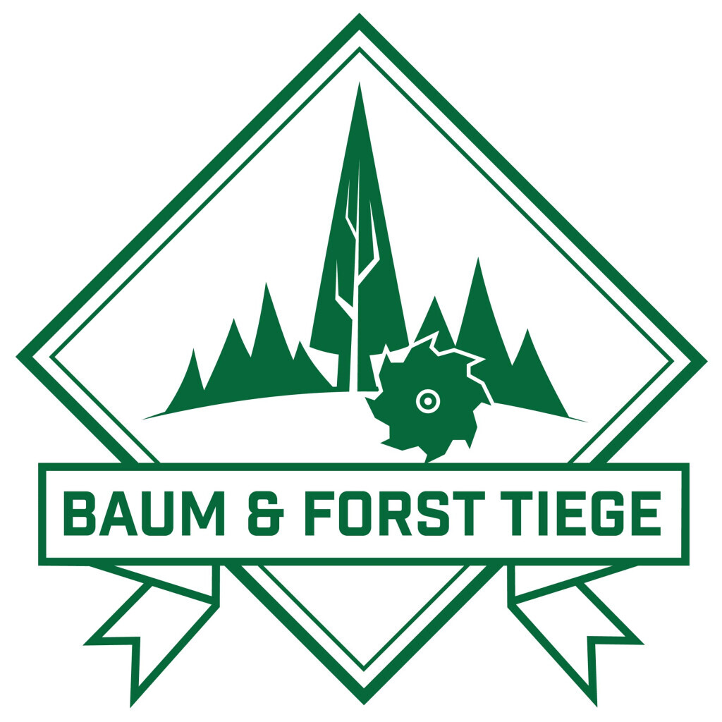 Baum & Forst Tiege Logo
