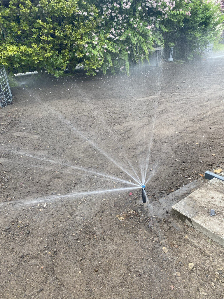 Bilder DIE BAU(M)TEUFEL Garten- und Landschaftsbau Jörg Schielke