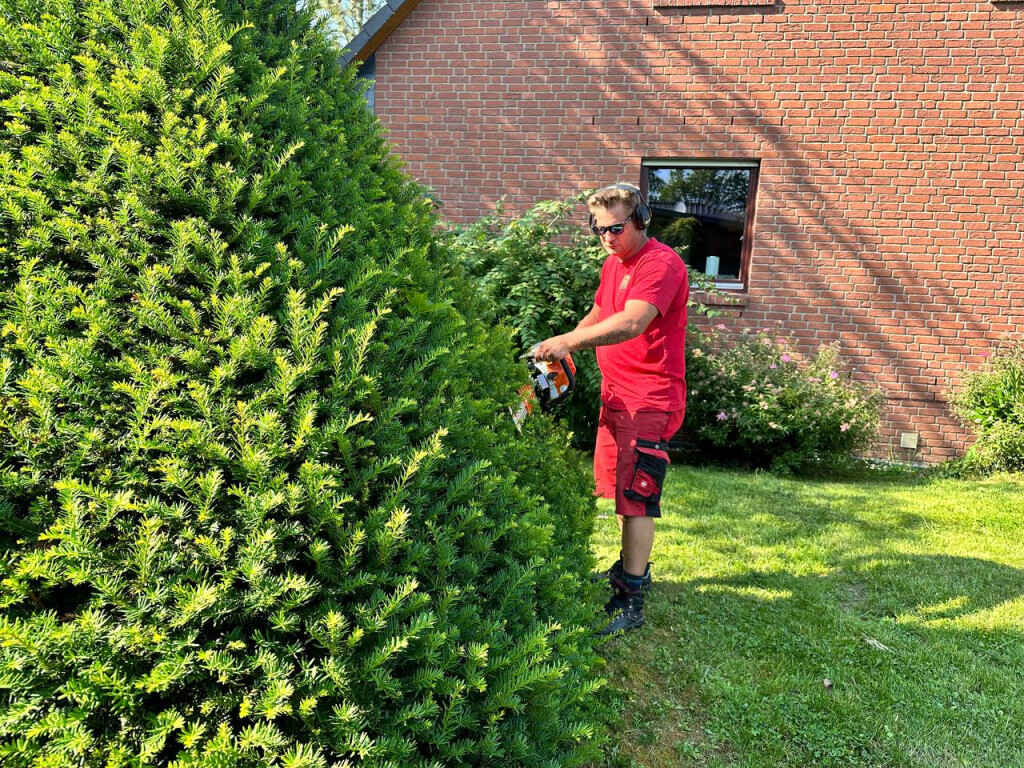 Bilder DIE BAU(M)TEUFEL Garten- und Landschaftsbau Jörg Schielke