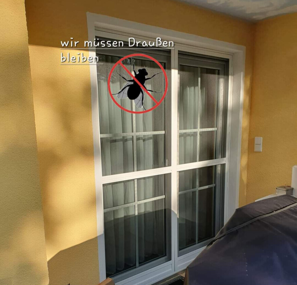 Bilder Heiko Klauenberg Bodenbeläge