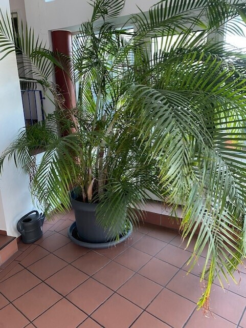 Bilder CL Capital Living GmbH