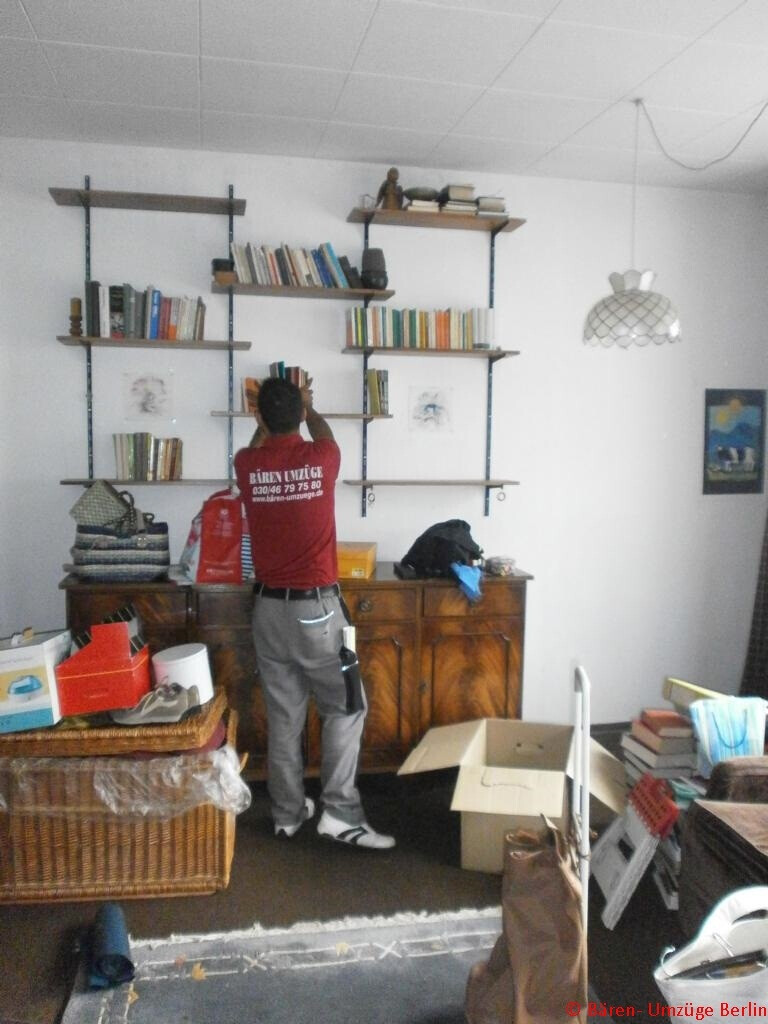 Bilder Bären Umzüge Berlin