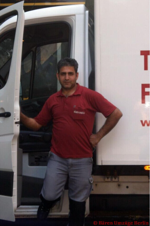 Bilder Bären Umzüge Berlin