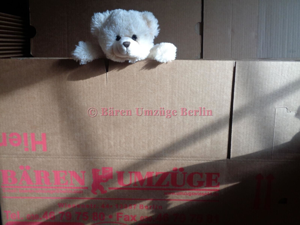 Bilder Bären Umzüge Berlin