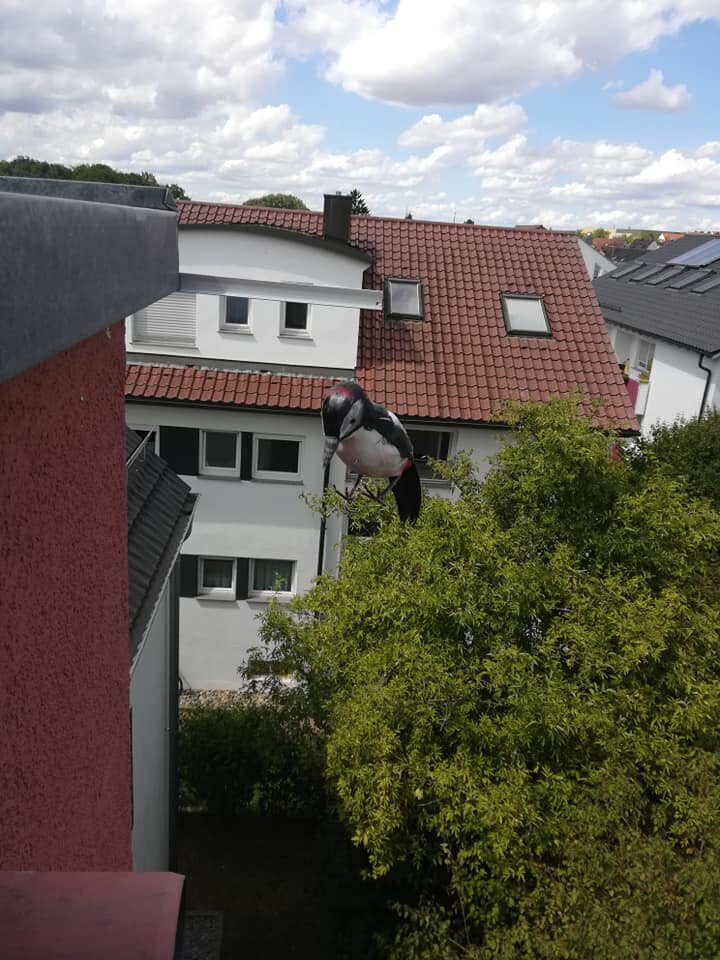 Bilder SBK Eberhardt