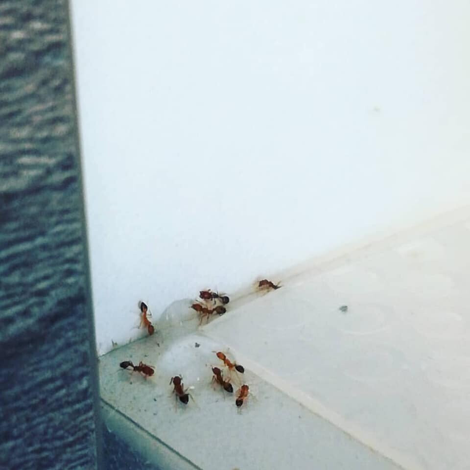 Bilder SBK Eberhardt