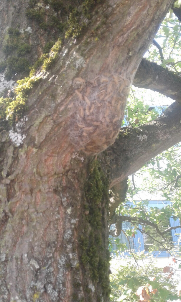 Bilder SBK Eberhardt