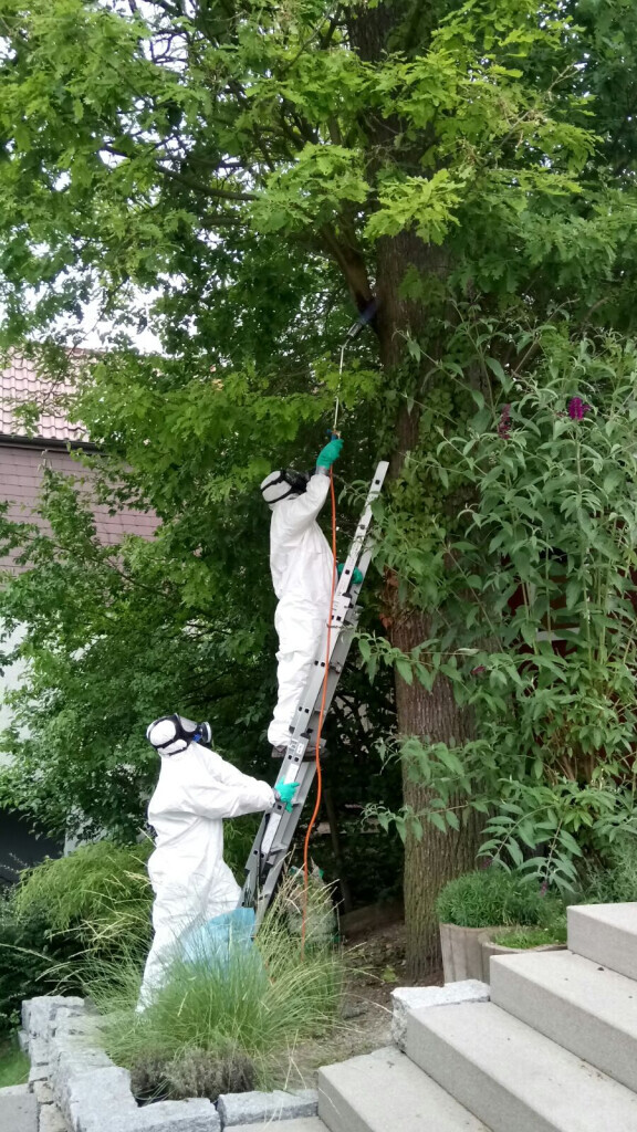 Bilder SBK Eberhardt