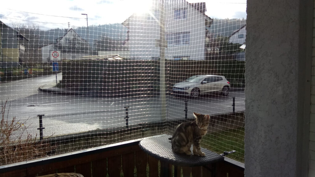 Bilder SBK Eberhardt