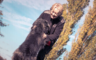 Bilder anima4animals