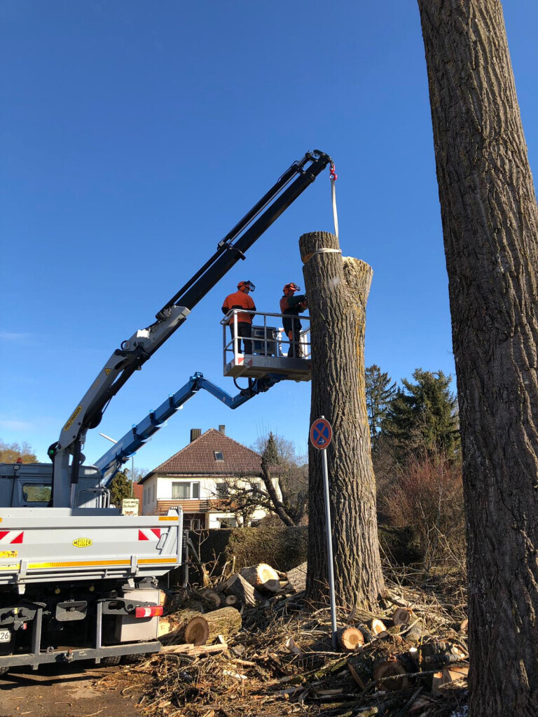 Bilder Trinkgeld GmbH Garten- & Landschaftsservice