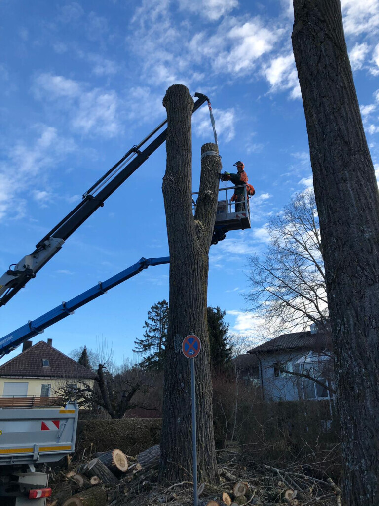 Bilder Trinkgeld GmbH Garten- & Landschaftsservice