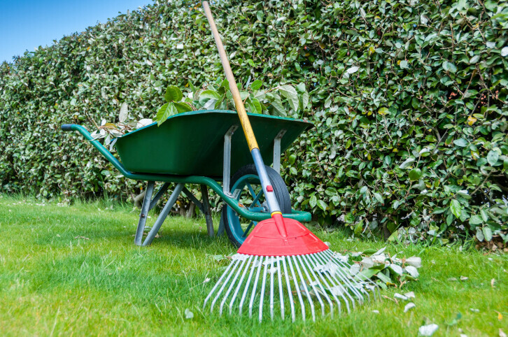 Bilder Trinkgeld GmbH Garten- & Landschaftsservice