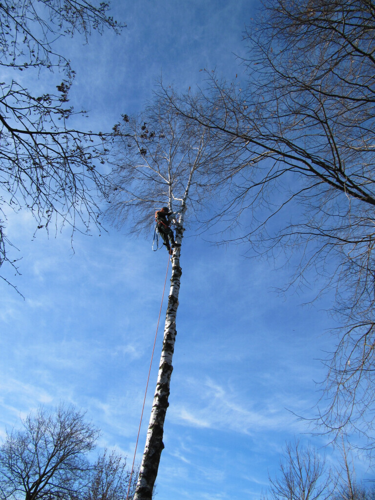 Bilder Trinkgeld GmbH Garten- & Landschaftsservice