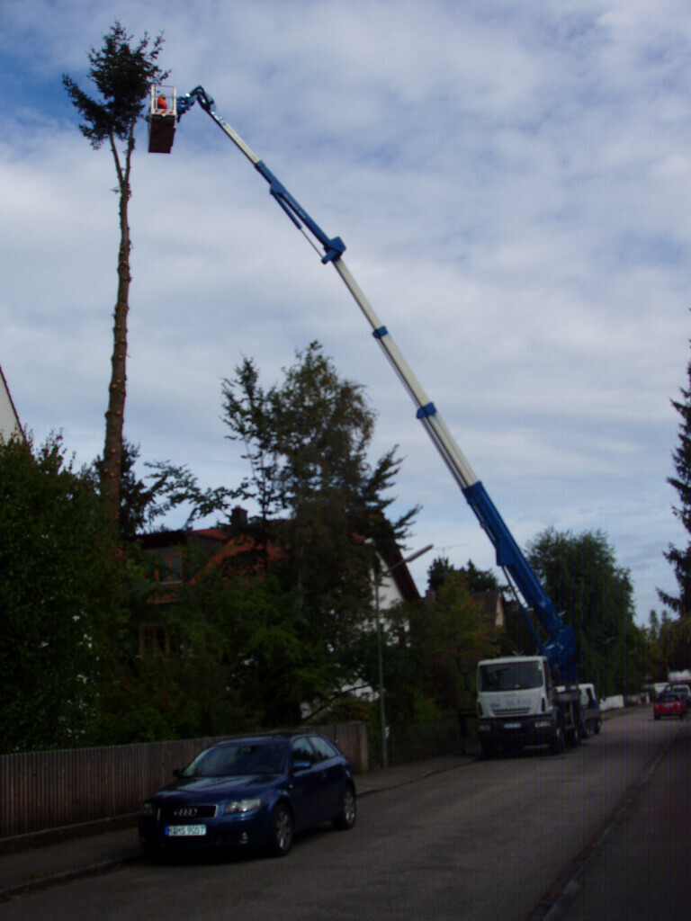 Bilder Trinkgeld GmbH Garten- & Landschaftsservice