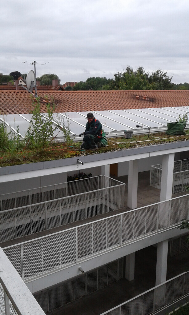 Bilder Trinkgeld GmbH Garten- & Landschaftsservice