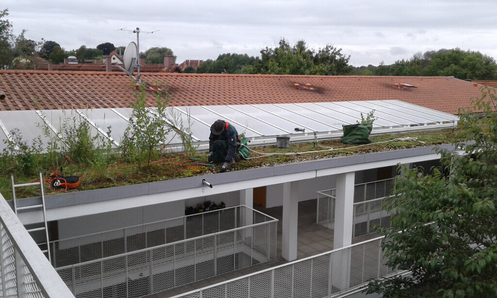 Bilder Trinkgeld GmbH Garten- & Landschaftsservice