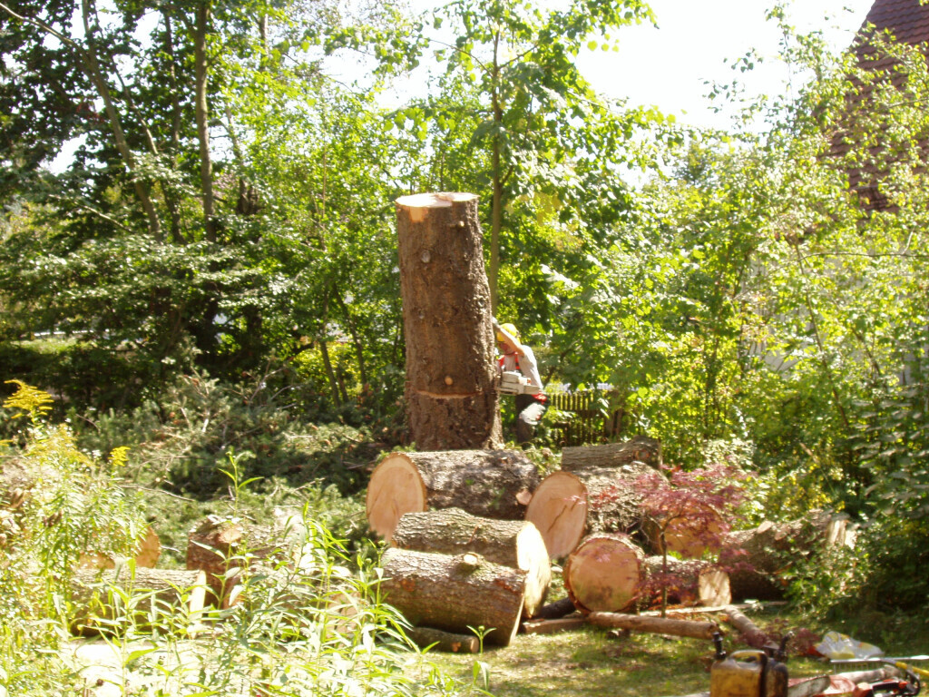 Bilder Trinkgeld GmbH Garten- & Landschaftsservice
