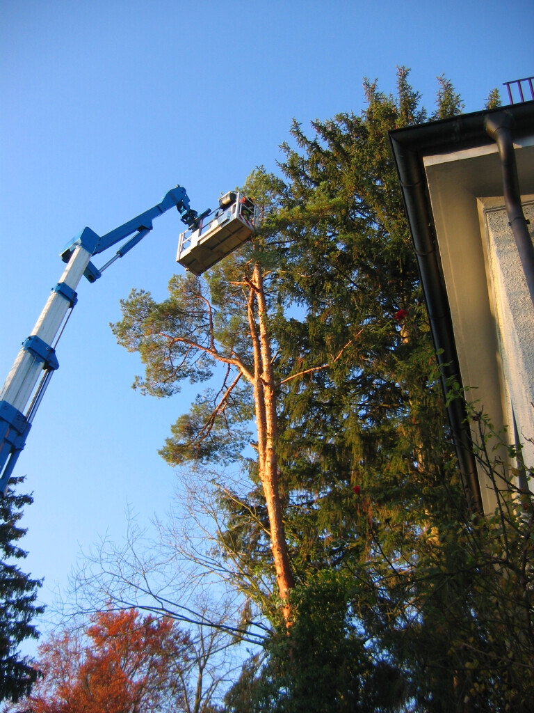 Bilder Trinkgeld GmbH Garten- & Landschaftsservice