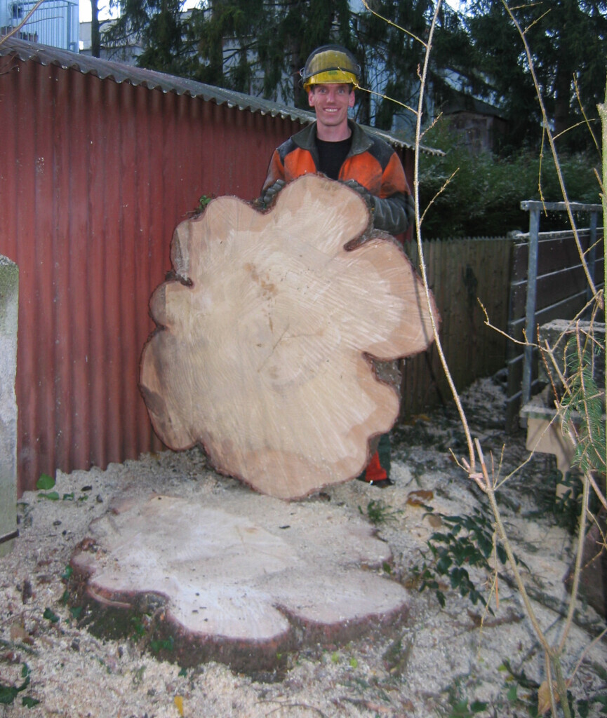 Bilder Trinkgeld GmbH Garten- & Landschaftsservice