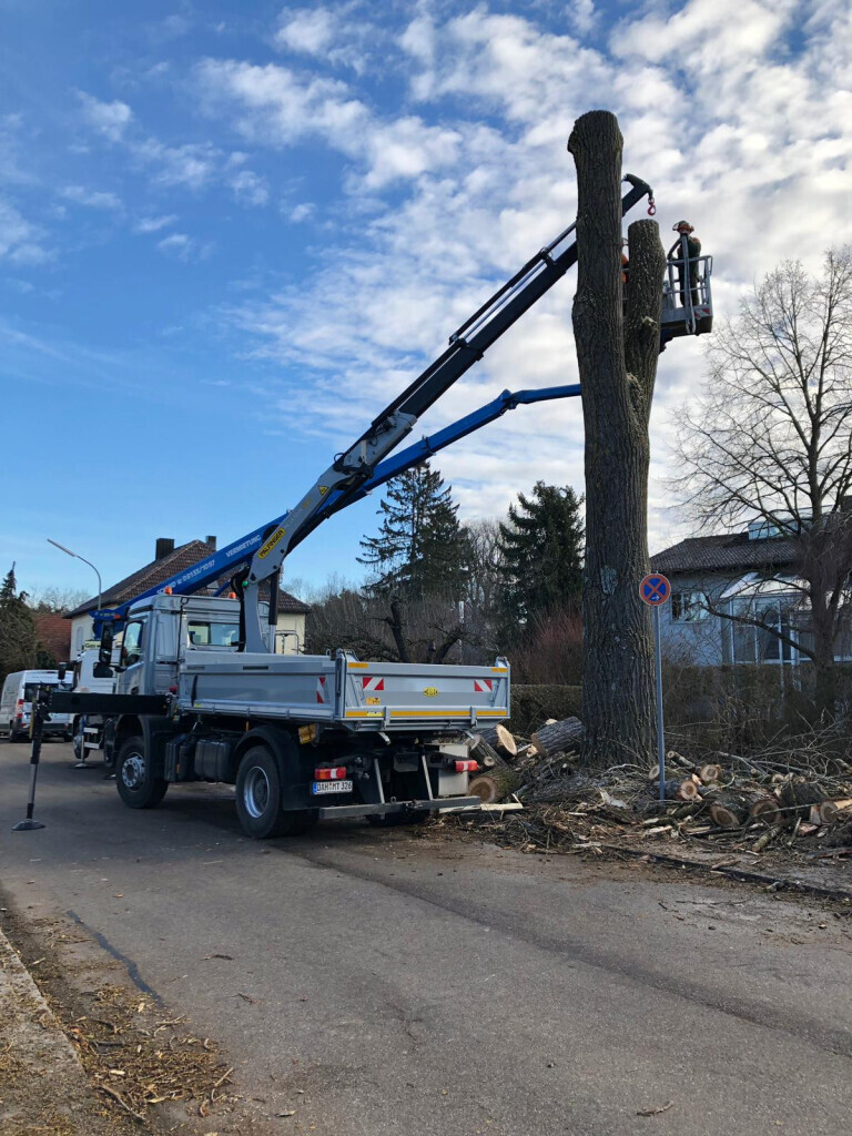 Bilder Trinkgeld GmbH Garten- & Landschaftsservice