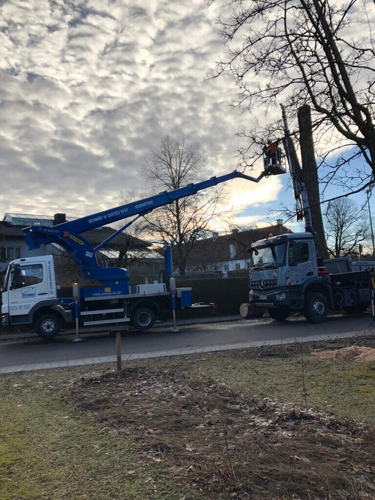 Bilder Trinkgeld GmbH Garten- & Landschaftsservice