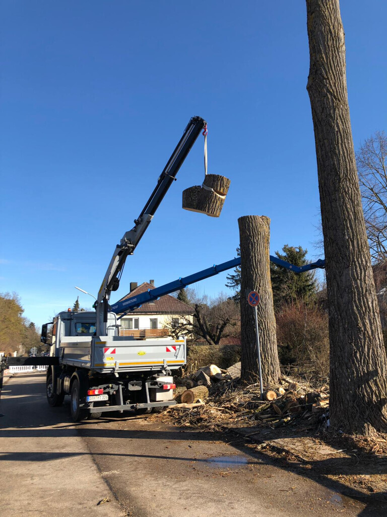 Bilder Trinkgeld GmbH Garten- & Landschaftsservice