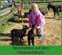 Bilder Ferienhof Bruns