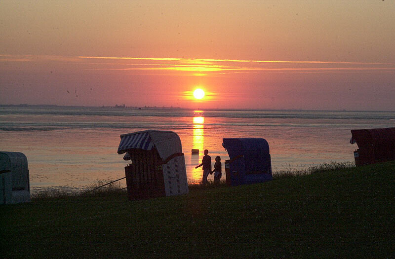 Bilder Ferienhof Bruns