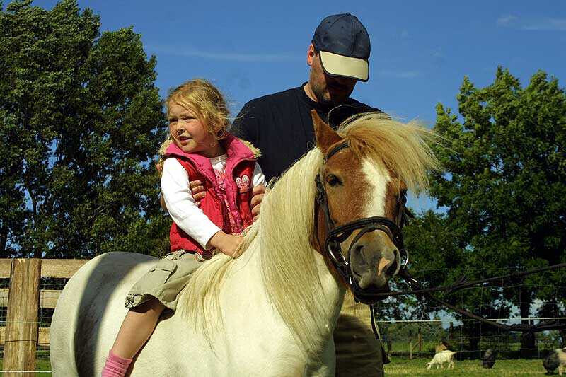 Bilder Ferienhof Bruns
