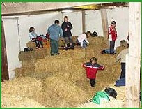 Bilder Ferienhof Bruns