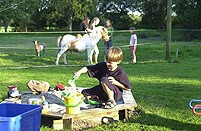 Bilder Ferienhof Bruns