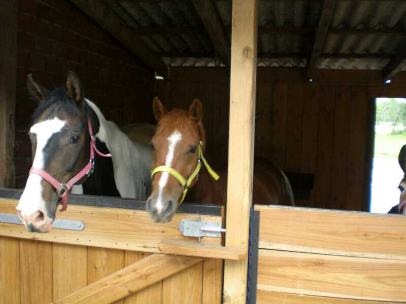 Bilder Ferienhof Bruns