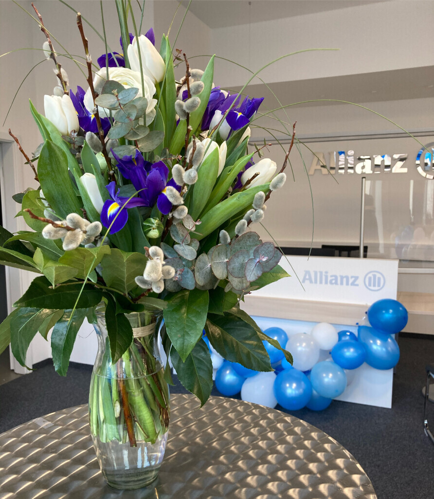 Bilder Allianz Link GbR