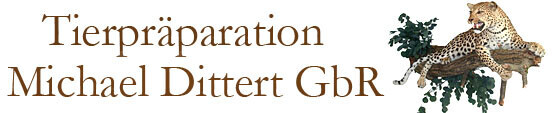 Tierpräparation Michael Dittert GbR Logo