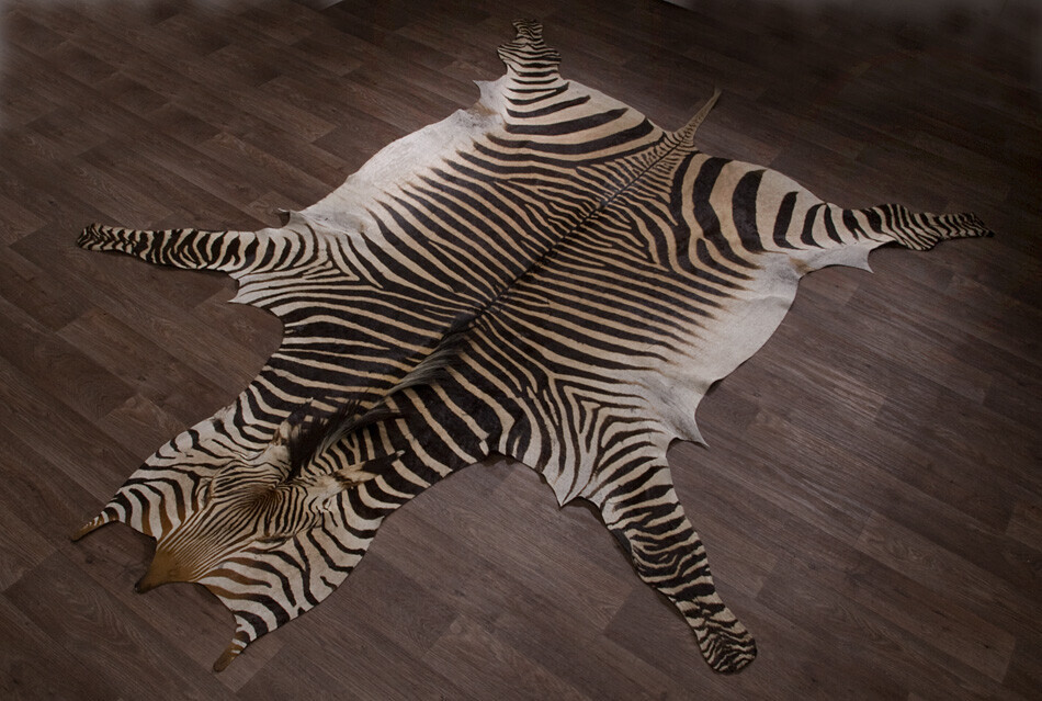 Bilder Tierpräparation Michael Dittert GbR