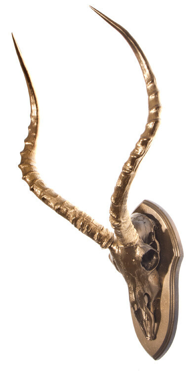 Bilder Tierpräparation Michael Dittert GbR