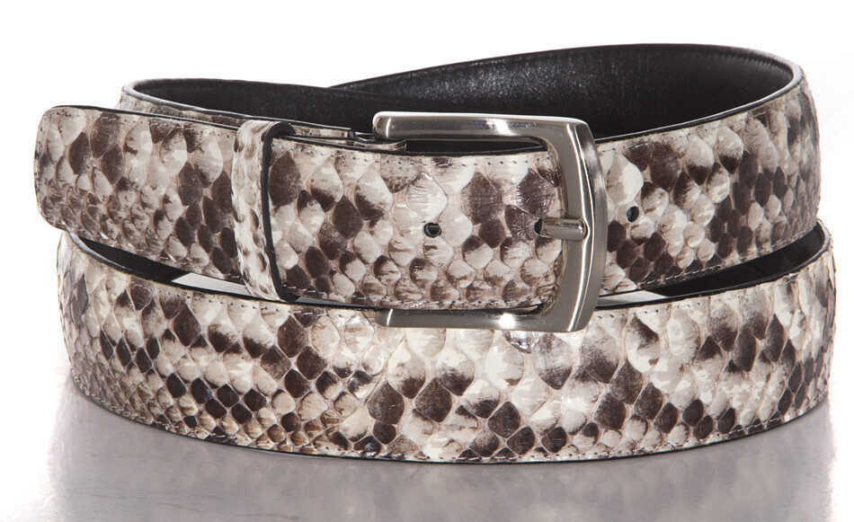 Bilder Tierpräparation Michael Dittert GbR