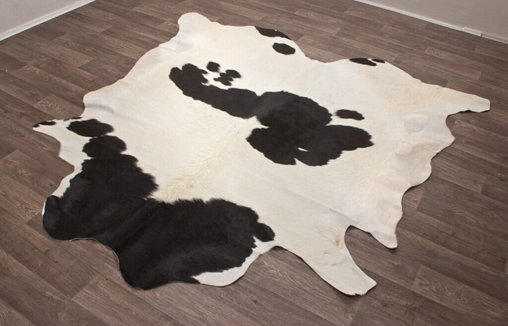 Bilder Tierpräparation Michael Dittert GbR