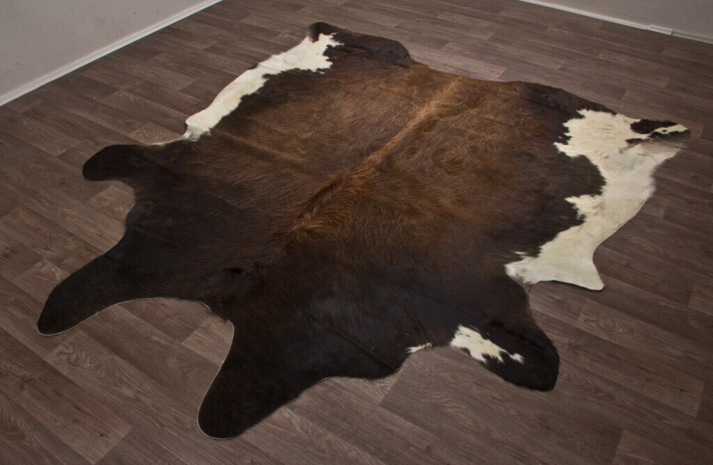 Bilder Tierpräparation Michael Dittert GbR