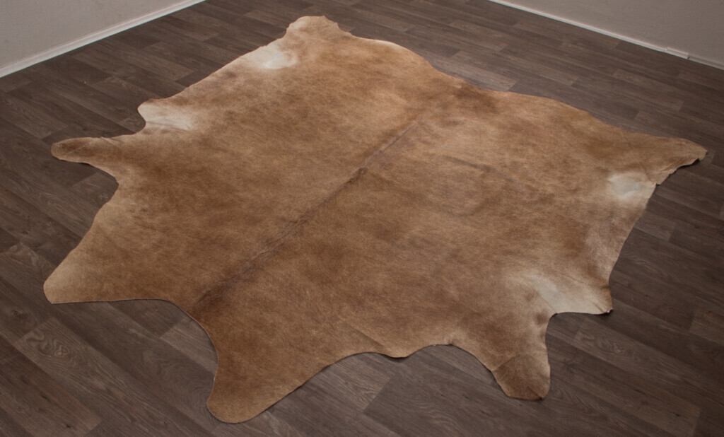 Bilder Tierpräparation Michael Dittert GbR