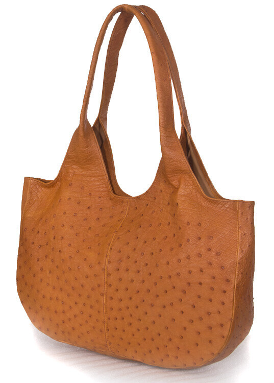 Bilder Tierpräparation Michael Dittert GbR