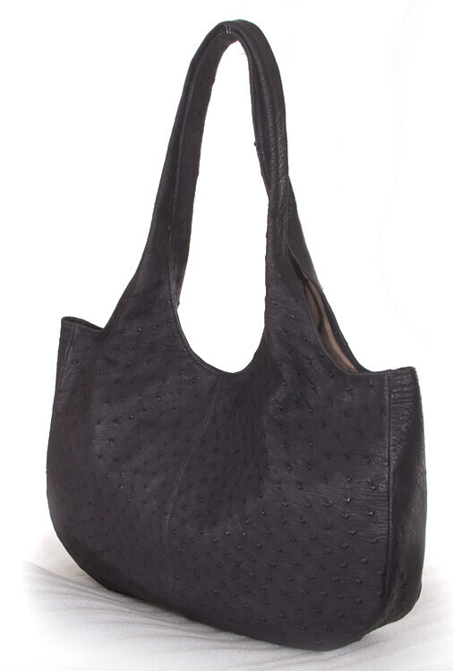 Bilder Tierpräparation Michael Dittert GbR