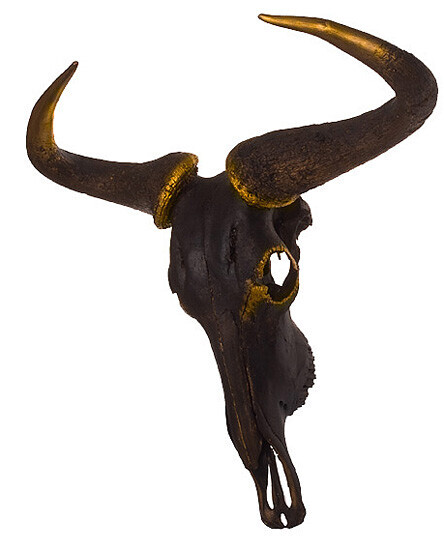 Bilder Tierpräparation Michael Dittert GbR